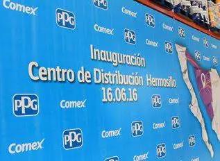 PPG���I��ī�����O�����N���� �����Ј��\�I